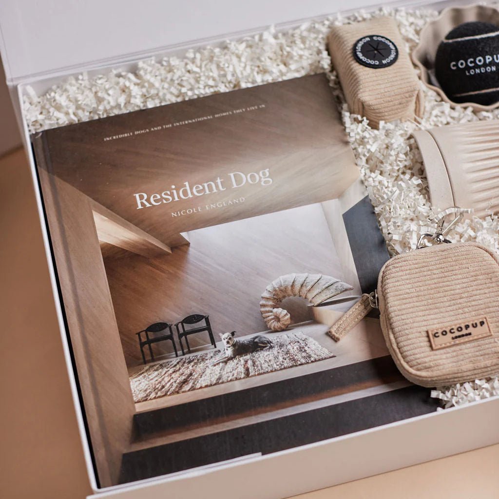 The Resident Dogue - We Wander