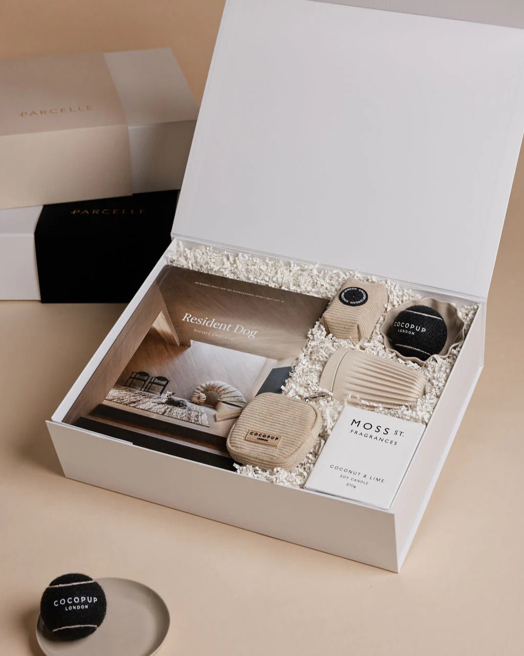 The Resident Dogue - We Wander