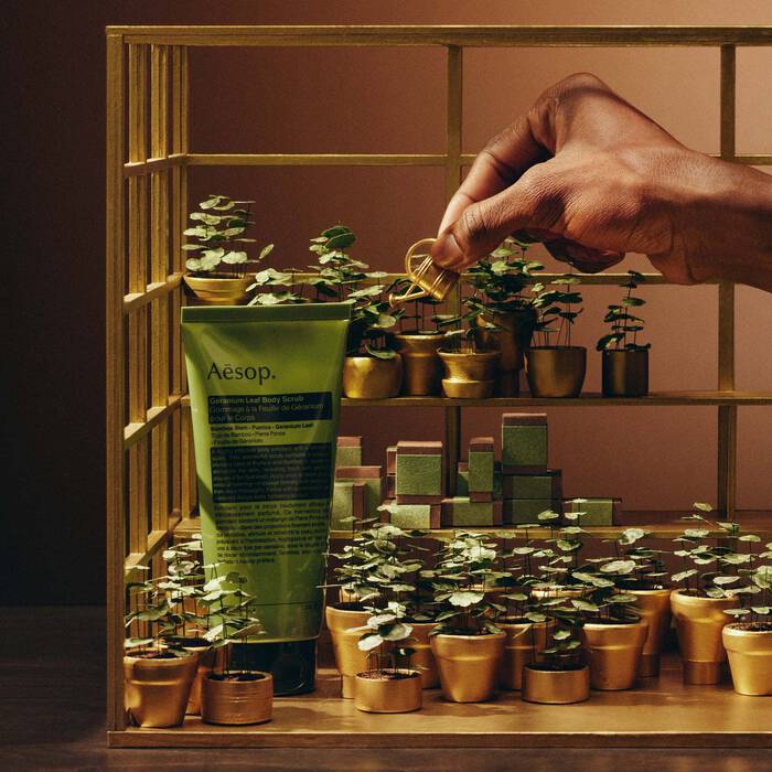 Party in the Greenhouse - We Wander