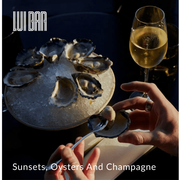 Unique - Experience Portfolio for business - We Wander